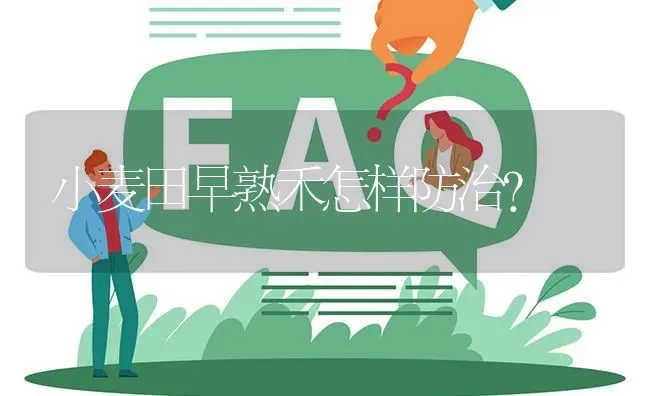 小麦田早熟禾怎样防治? | 养殖问题解答
