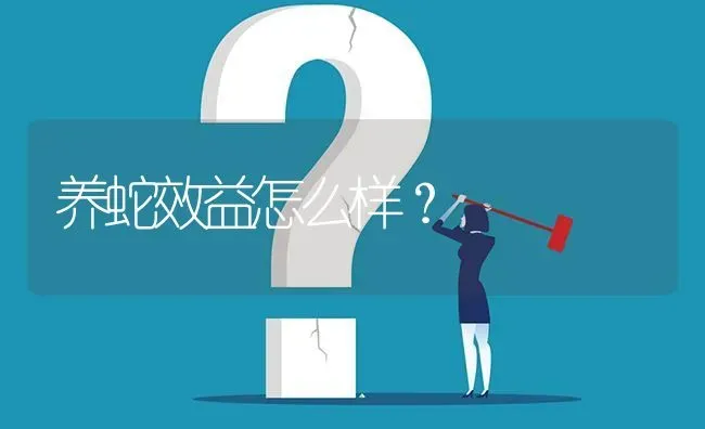 养蛇效益怎么样? | 养殖问题解答