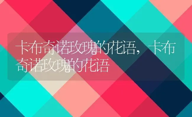 卡布奇诺玫瑰的花语,卡布奇诺玫瑰的花语 | 养殖常见问题