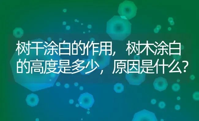 树干涂白的作用,树木涂白的高度是多少，原因是什么？ | 养殖常见问题