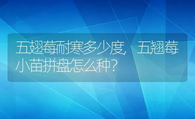 五翅莓耐寒多少度,五翘莓小苗拼盘怎么种？ | 养殖常见问题