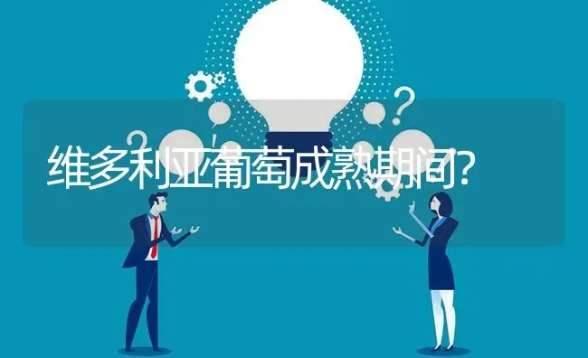 维多利亚葡萄成熟期间? | 养殖问题解答