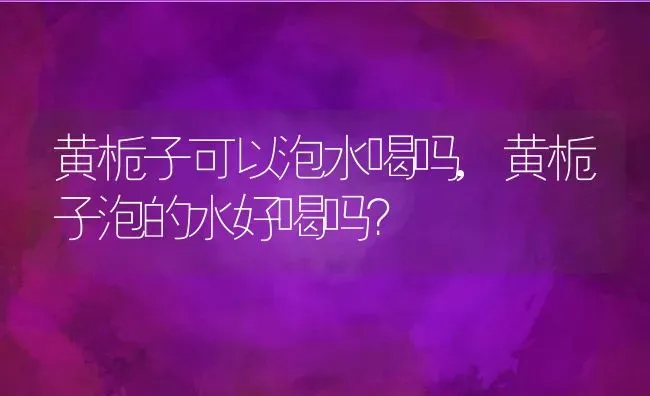 黄栀子可以泡水喝吗,黄栀子泡的水好喝吗？ | 养殖常见问题