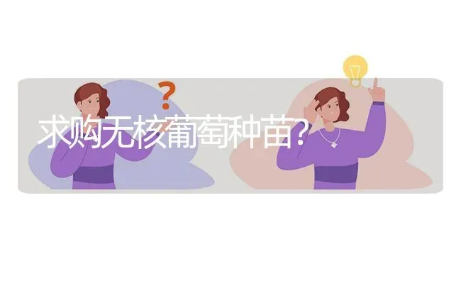 求购无核葡萄种苗? | 养殖问题解答