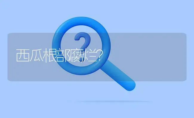 西瓜根部腐烂? | 养殖问题解答