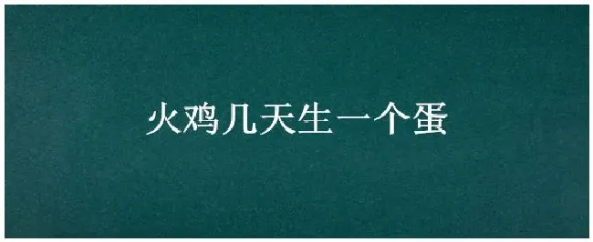 火鸡几天生一个蛋 | 农业答疑
