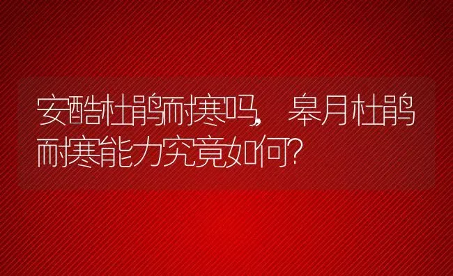安酷杜鹃耐寒吗,皋月杜鹃耐寒能力究竟如何？ | 养殖常见问题