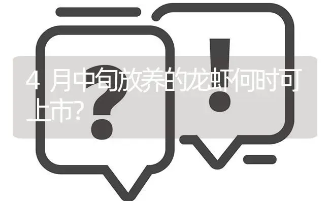 4月中旬放养的龙虾何时可上市? | 养殖问题解答