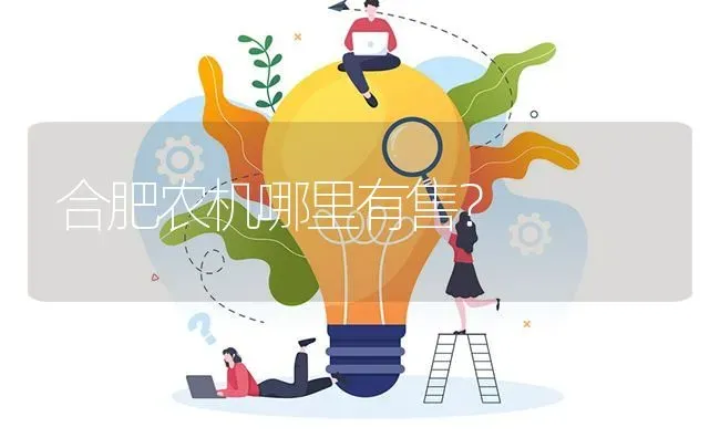 合肥农机哪里有售? | 养殖问题解答