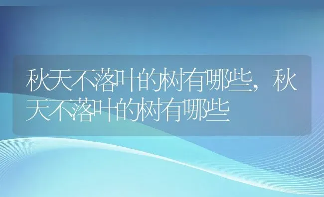 秋天不落叶的树有哪些,秋天不落叶的树有哪些 | 养殖常见问题