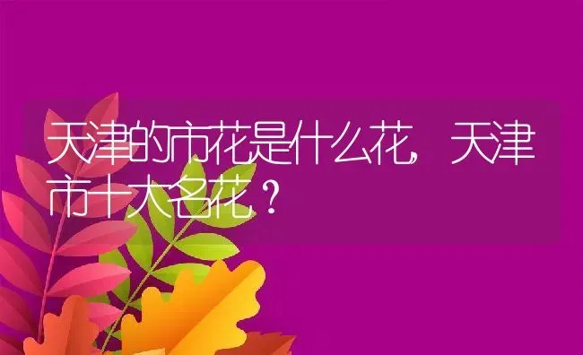 天津的市花是什么花,天津市十大名花？ | 养殖常见问题