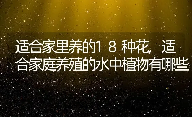 适合家里养的18种花,适合家庭养殖的水中植物有哪些 | 养殖常见问题