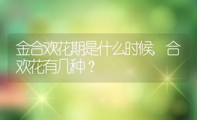 金合欢花期是什么时候,合欢花有几种？ | 养殖常见问题