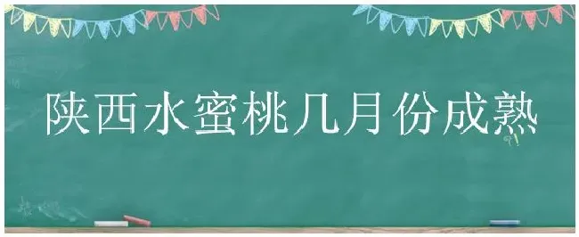 陕西水蜜桃几月份成熟 | 三农问答