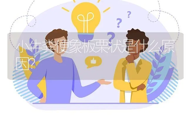 小牛粪便象板栗状是什么原因? | 养殖问题解答