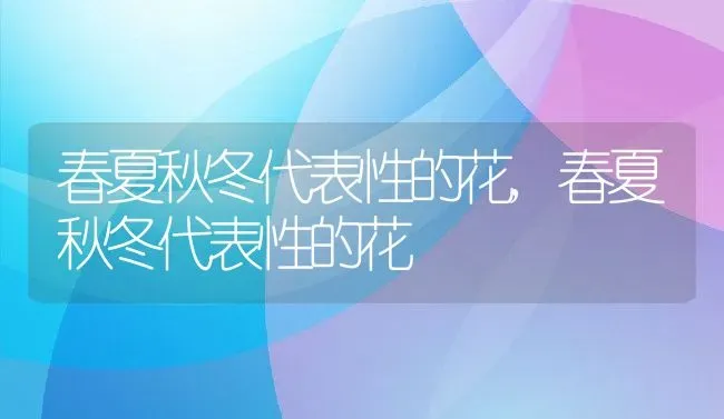 春夏秋冬代表性的花,春夏秋冬代表性的花 | 养殖常见问题