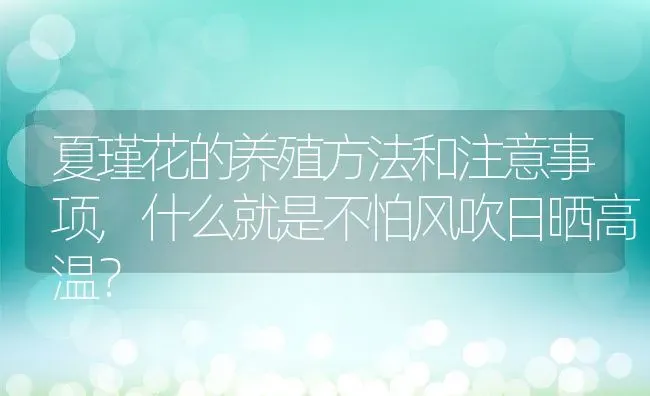 夏瑾花的养殖方法和注意事项,什么就是不怕风吹日晒高温？ | 养殖常见问题