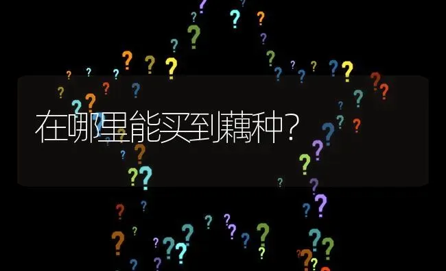 在哪里能买到藕种? | 养殖问题解答