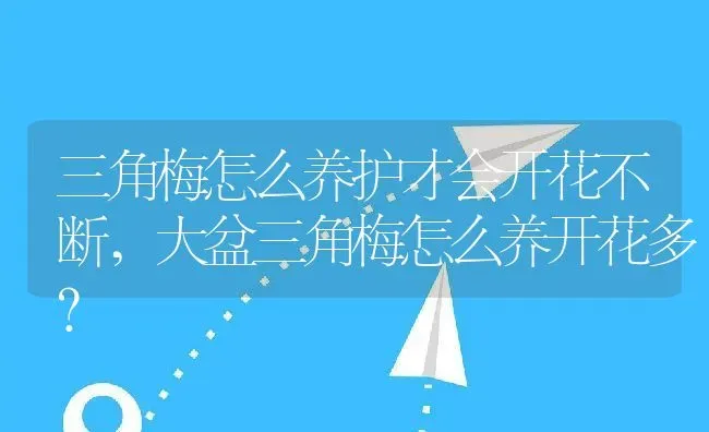 三角梅怎么养护才会开花不断,大盆三角梅怎么养开花多？ | 养殖常见问题