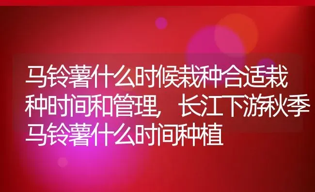 马铃薯什么时候栽种合适栽种时间和管理,长江下游秋季马铃薯什么时间种植 | 养殖常见问题