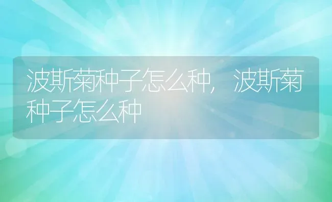 波斯菊种子怎么种,波斯菊种子怎么种 | 养殖常见问题