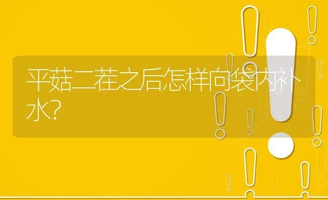 平菇二茬之后怎样向袋内补水? | 养殖问题解答