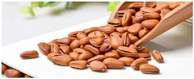 松子是松树的果实吗 | 农业答疑