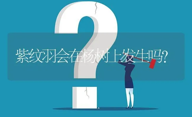 紫纹羽会在杨树上发生吗? | 养殖问题解答