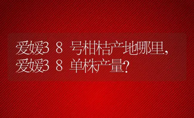 爱媛38号柑桔产地哪里,爱媛38单株产量？ | 养殖常见问题