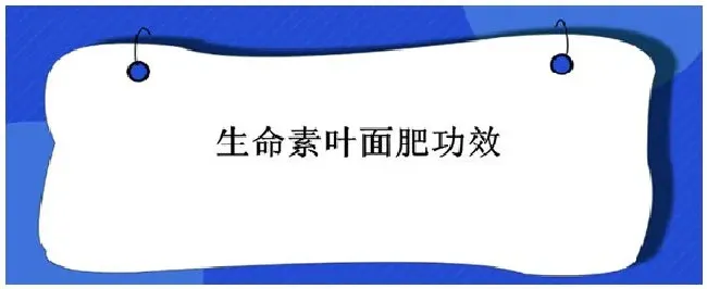 生命素叶面肥功效 | 农业答疑