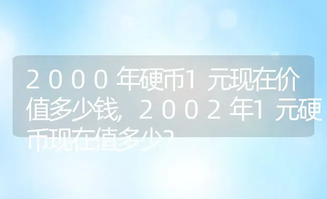 2000年硬币1元现在价值多少钱,2002年1元硬币现在值多少？ | 养殖常见问题