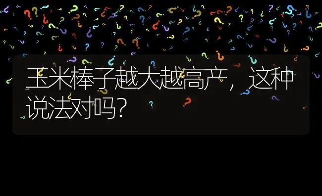 玉米棒子越大越高产,这种说法对吗? | 养殖问题解答