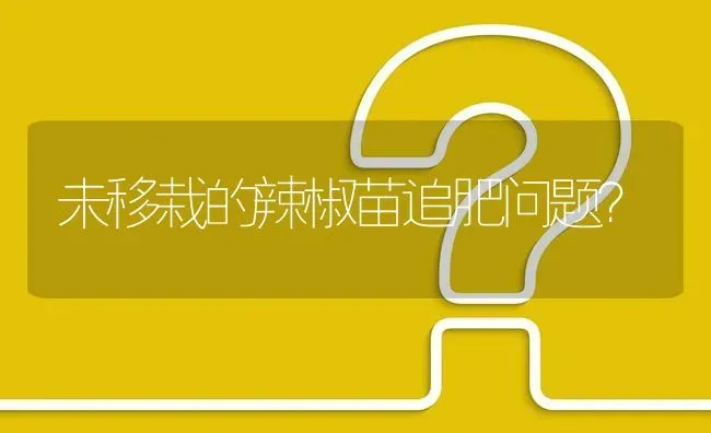 未移栽的辣椒苗追肥问题? | 养殖问题解答