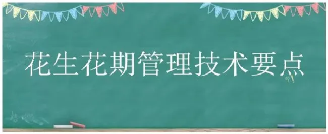 花生花期管理技术要点 | 农业答疑