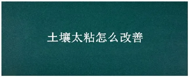 土壤太粘怎么改善 | 三农答疑