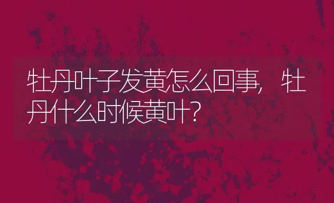 牡丹叶子发黄怎么回事,牡丹什么时候黄叶？ | 养殖常见问题