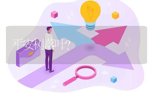 平安树落叶? | 养殖问题解答