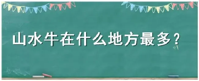 山水牛在什么地方最多 | 农业问题