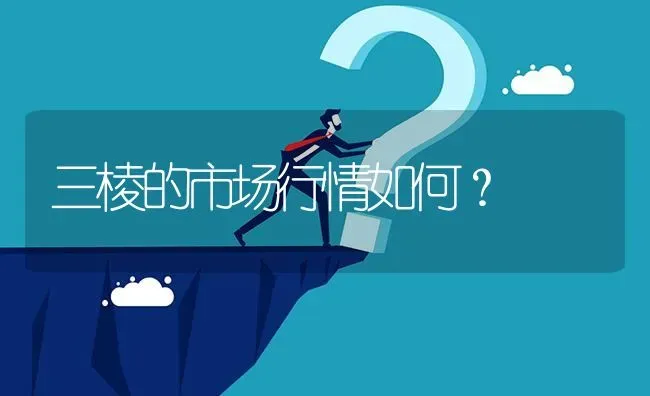 三棱的市场行情如何? | 养殖问题解答