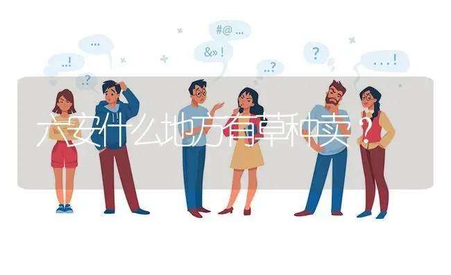 六安什么地方有草种卖? | 养殖问题解答