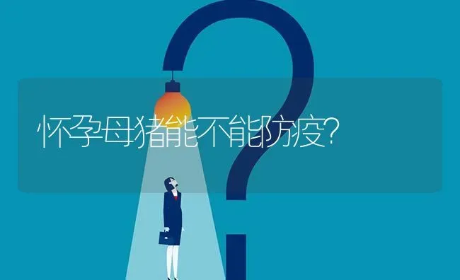 怀孕母猪能不能防疫? | 养殖问题解答