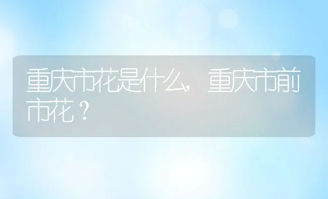 重庆市花是什么,重庆市前市花？ | 养殖常见问题