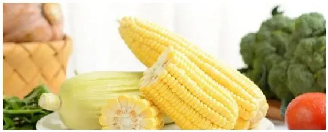 牛奶玉米是什么品种 | 生活常识
