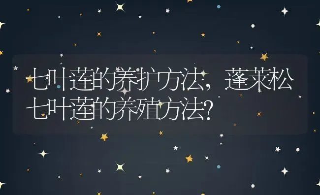 七叶莲的养护方法,蓬莱松七叶莲的养殖方法？ | 养殖常见问题