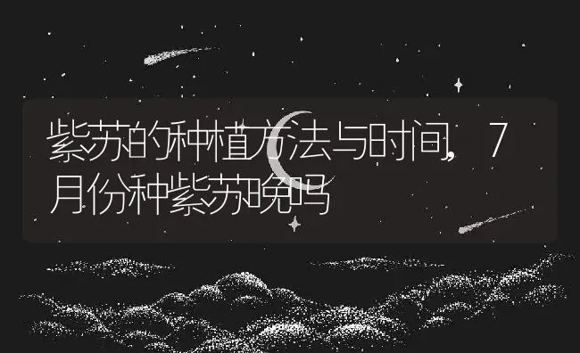 紫苏的种植方法与时间,7月份种紫苏晚吗 | 养殖常见问题