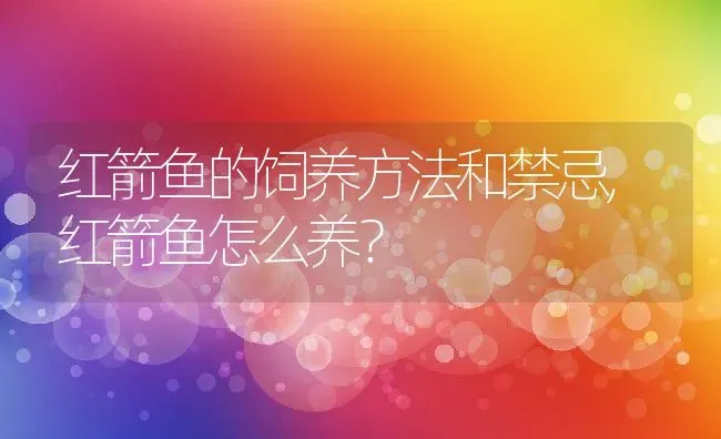 红箭鱼的饲养方法和禁忌,红箭鱼怎么养？ | 养殖常见问题