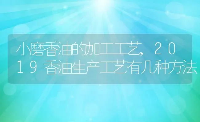 小磨香油的加工工艺,2019香油生产工艺有几种方法 | 养殖常见问题