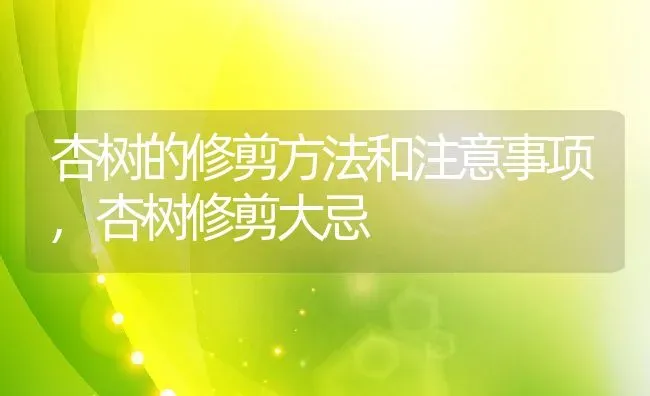 杏树的修剪方法和注意事项,杏树修剪大忌 | 养殖常见问题