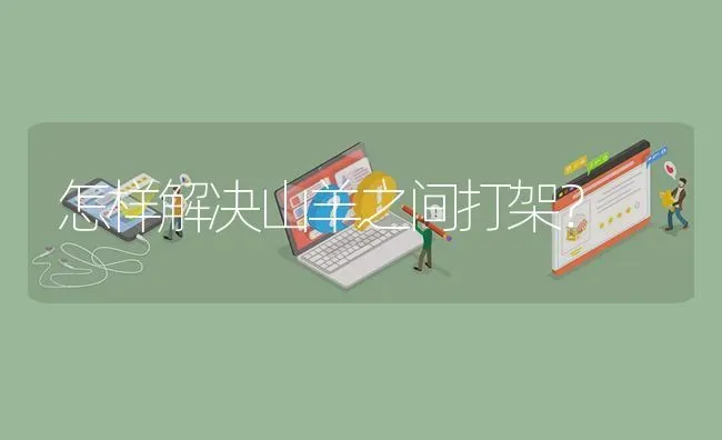 怎样解决山羊之间打架? | 养殖问题解答