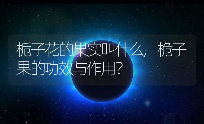 栀子花的果实叫什么,桅子果的功效与作用？ | 养殖常见问题